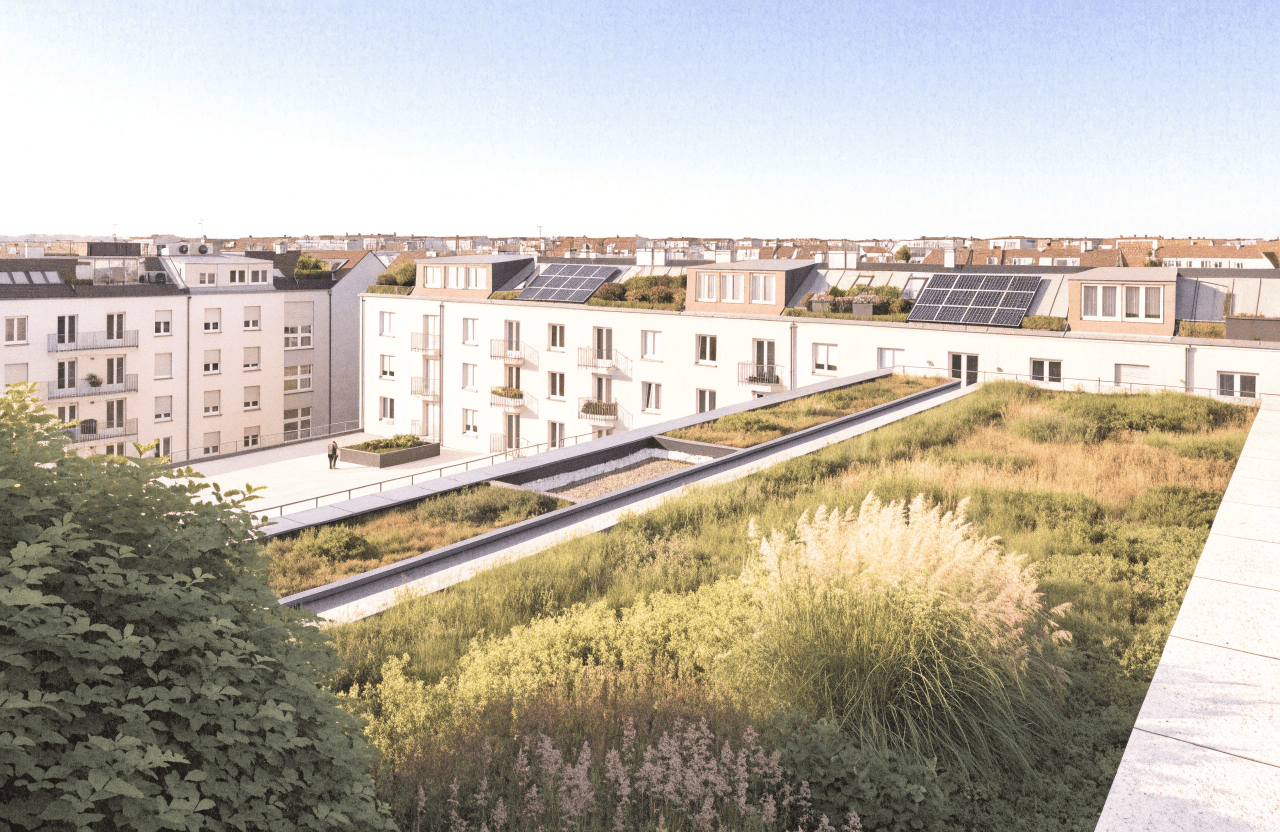 An elevated daytime view across European apartment rooftops integrated with solar panels, green roof vegetation, and rainwater management systems. Small figures of residents stand on a shared terrace overlooking the neighbourhood.